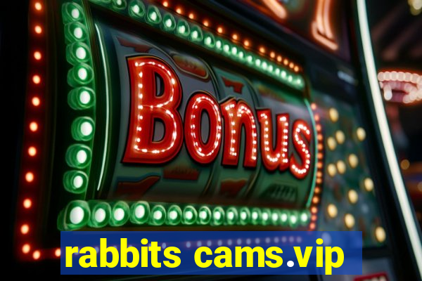 rabbits cams.vip